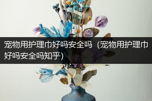 宠物用护理巾好吗安全吗（宠物用护理巾好吗安全吗知乎）