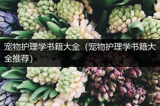 宠物护理学书籍大全（宠物护理学书籍大全推荐）