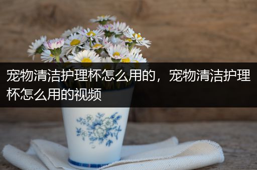 宠物清洁护理杯怎么用的，宠物清洁护理杯怎么用的视频