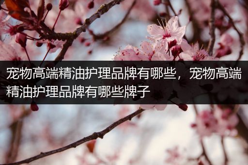 宠物高端精油护理品牌有哪些，宠物高端精油护理品牌有哪些牌子