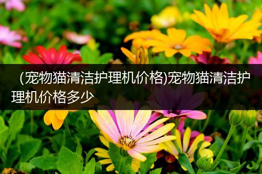 （宠物猫清洁护理机价格)宠物猫清洁护理机价格多少