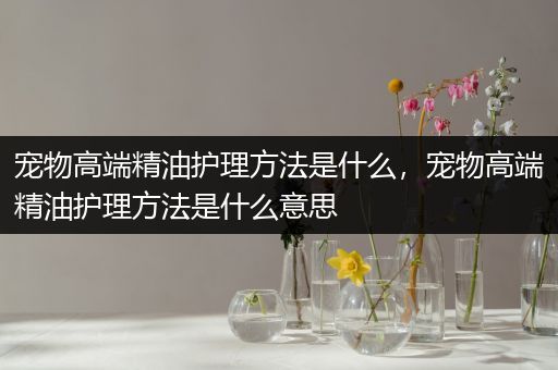 宠物高端精油护理方法是什么，宠物高端精油护理方法是什么意思