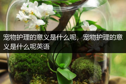 宠物护理的意义是什么呢，宠物护理的意义是什么呢英语
