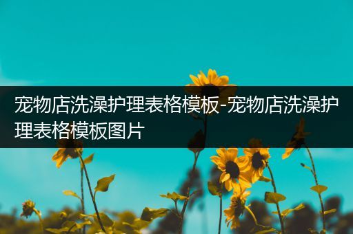 宠物店洗澡护理表格模板-宠物店洗澡护理表格模板图片