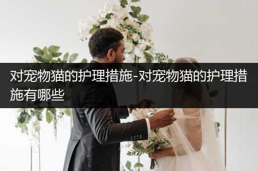 对宠物猫的护理措施-对宠物猫的护理措施有哪些