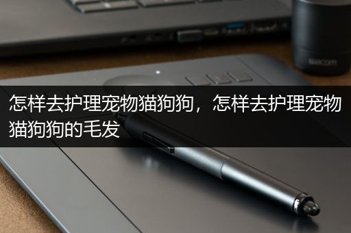 怎样去护理宠物猫狗狗，怎样去护理宠物猫狗狗的毛发