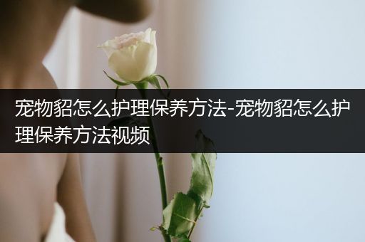 宠物貂怎么护理保养方法-宠物貂怎么护理保养方法视频