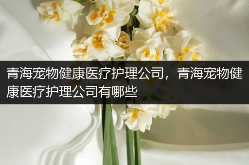 青海宠物健康医疗护理公司，青海宠物健康医疗护理公司有哪些