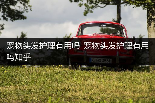宠物头发护理有用吗-宠物头发护理有用吗知乎