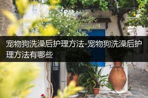 宠物狗洗澡后护理方法-宠物狗洗澡后护理方法有哪些