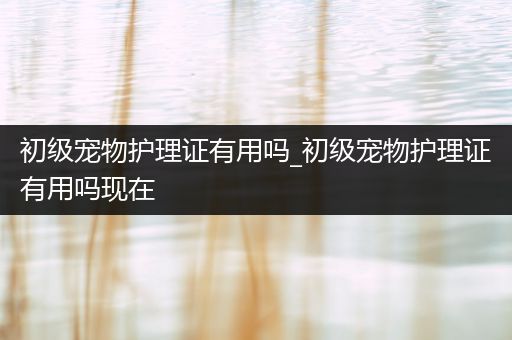 初级宠物护理证有用吗_初级宠物护理证有用吗现在