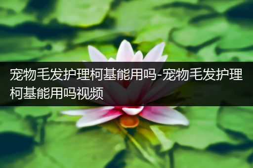 宠物毛发护理柯基能用吗-宠物毛发护理柯基能用吗视频