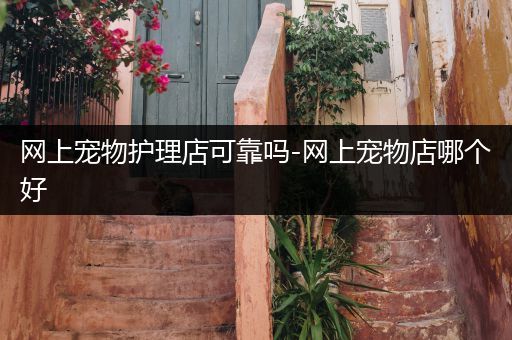 网上宠物护理店可靠吗-网上宠物店哪个好