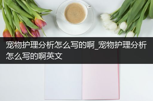 宠物护理分析怎么写的啊_宠物护理分析怎么写的啊英文