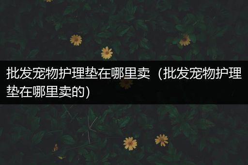 批发宠物护理垫在哪里卖（批发宠物护理垫在哪里卖的）
