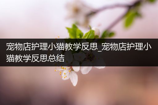 宠物店护理小猫教学反思_宠物店护理小猫教学反思总结