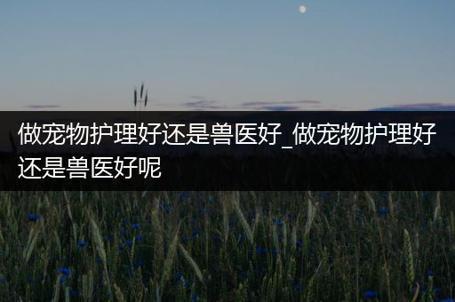 做宠物护理好还是兽医好_做宠物护理好还是兽医好呢