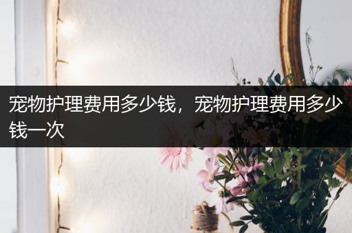 宠物护理费用多少钱，宠物护理费用多少钱一次