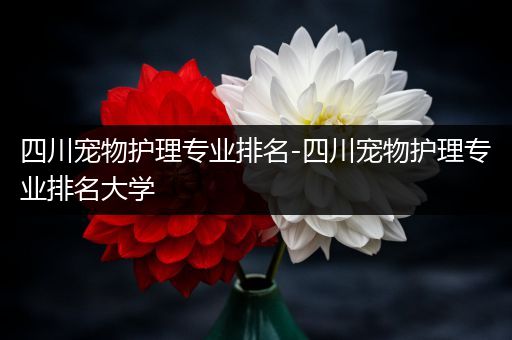 四川宠物护理专业排名-四川宠物护理专业排名大学