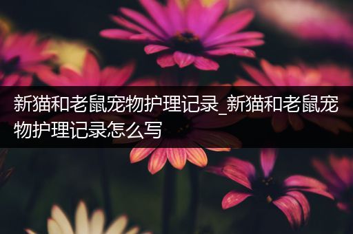新猫和老鼠宠物护理记录_新猫和老鼠宠物护理记录怎么写