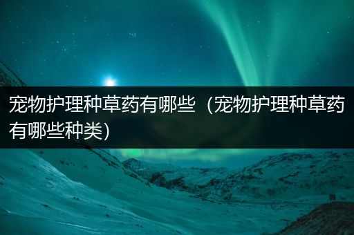 宠物护理种草药有哪些（宠物护理种草药有哪些种类）