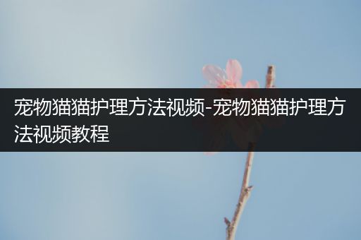 宠物猫猫护理方法视频-宠物猫猫护理方法视频教程
