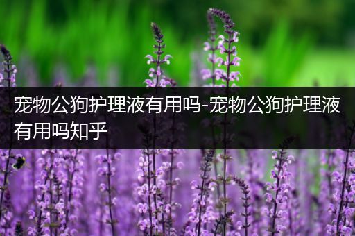 宠物公狗护理液有用吗-宠物公狗护理液有用吗知乎