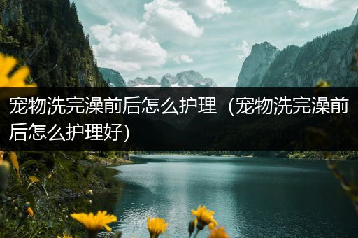 宠物洗完澡前后怎么护理（宠物洗完澡前后怎么护理好）