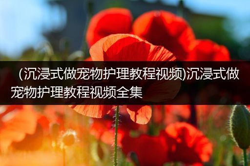 （沉浸式做宠物护理教程视频)沉浸式做宠物护理教程视频全集