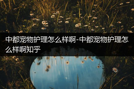 中都宠物护理怎么样啊-中都宠物护理怎么样啊知乎