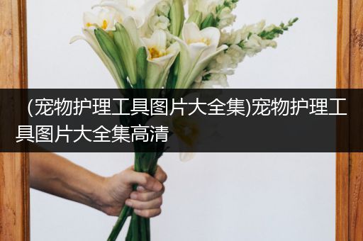 （宠物护理工具图片大全集)宠物护理工具图片大全集高清