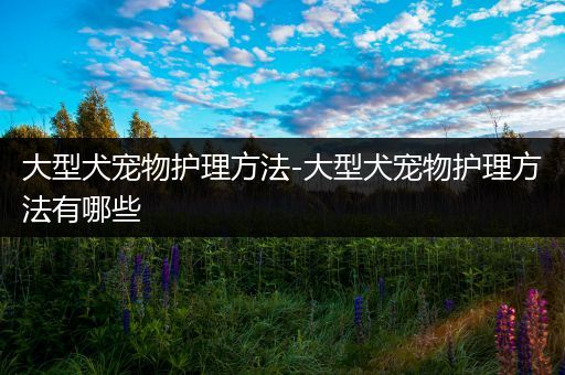 大型犬宠物护理方法-大型犬宠物护理方法有哪些