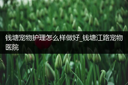 钱塘宠物护理怎么样做好_钱塘江路宠物医院