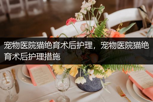 宠物医院猫绝育术后护理，宠物医院猫绝育术后护理措施