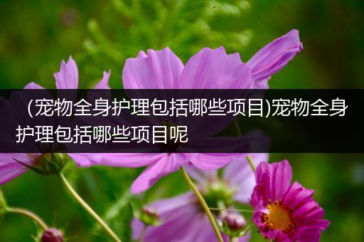 （宠物全身护理包括哪些项目)宠物全身护理包括哪些项目呢