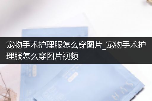宠物手术护理服怎么穿图片_宠物手术护理服怎么穿图片视频