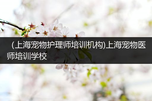（上海宠物护理师培训机构)上海宠物医师培训学校