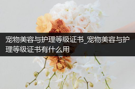 宠物美容与护理等级证书_宠物美容与护理等级证书有什么用