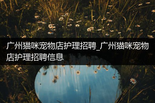 广州猫咪宠物店护理招聘_广州猫咪宠物店护理招聘信息