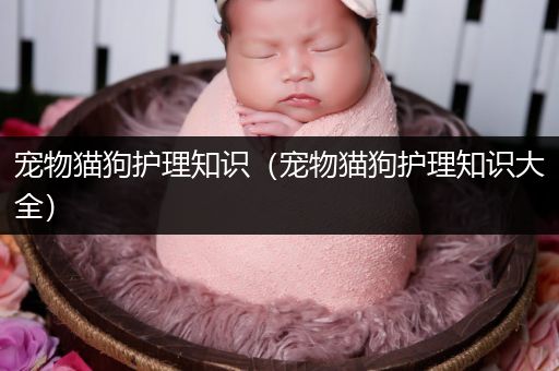 宠物猫狗护理知识（宠物猫狗护理知识大全）