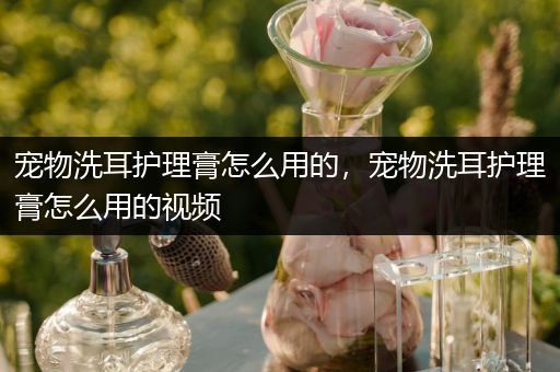 宠物洗耳护理膏怎么用的，宠物洗耳护理膏怎么用的视频