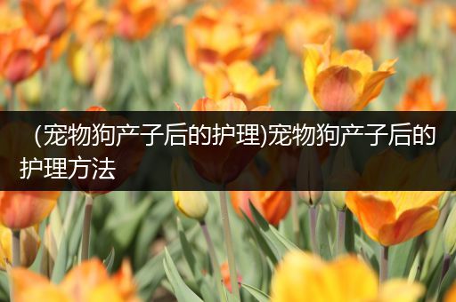 （宠物狗产子后的护理)宠物狗产子后的护理方法