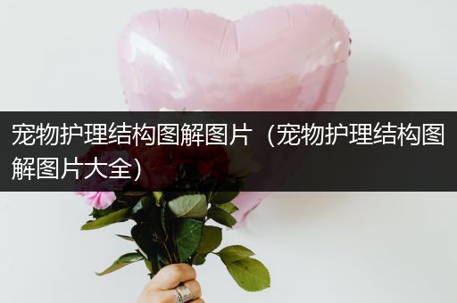 宠物护理结构图解图片（宠物护理结构图解图片大全）