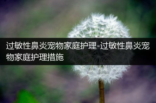 过敏性鼻炎宠物家庭护理-过敏性鼻炎宠物家庭护理措施