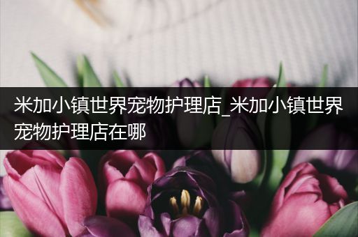 米加小镇世界宠物护理店_米加小镇世界宠物护理店在哪