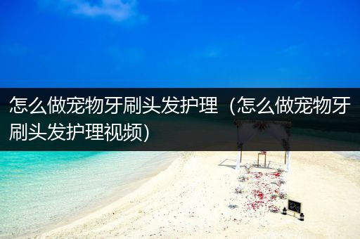 怎么做宠物牙刷头发护理（怎么做宠物牙刷头发护理视频）