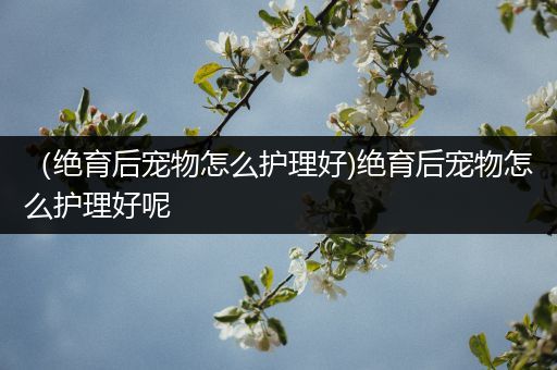 （绝育后宠物怎么护理好)绝育后宠物怎么护理好呢