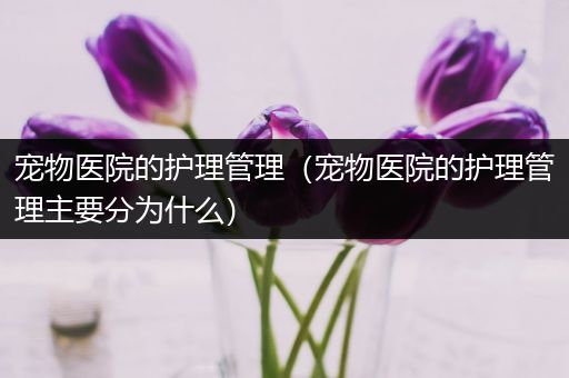 宠物医院的护理管理（宠物医院的护理管理主要分为什么）