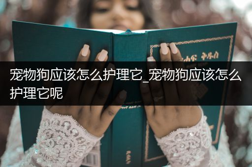宠物狗应该怎么护理它_宠物狗应该怎么护理它呢
