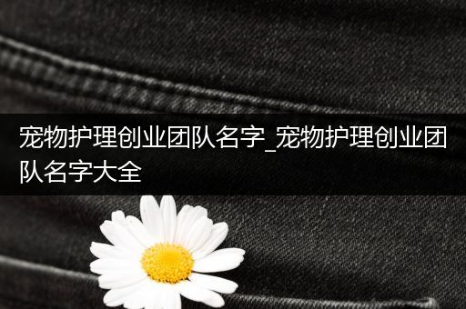 宠物护理创业团队名字_宠物护理创业团队名字大全